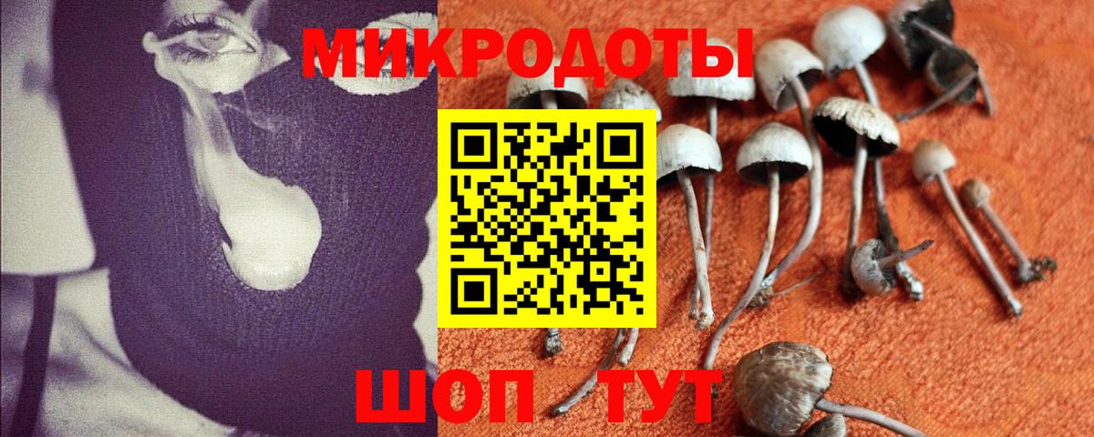 Галлюциногенные грибы Psilocybe  Вход с VPN  Орёл 