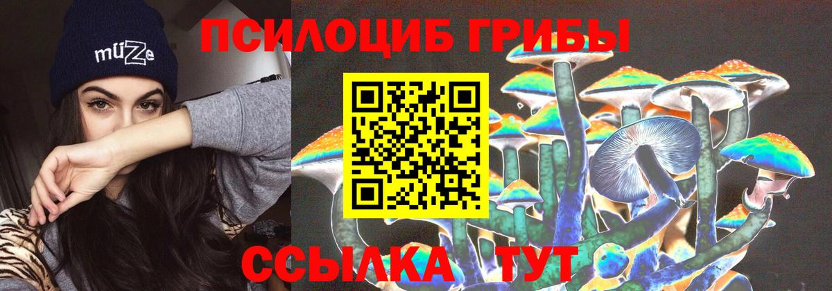 Псилоцибиновые грибы Psilocybine cubensis Орёл